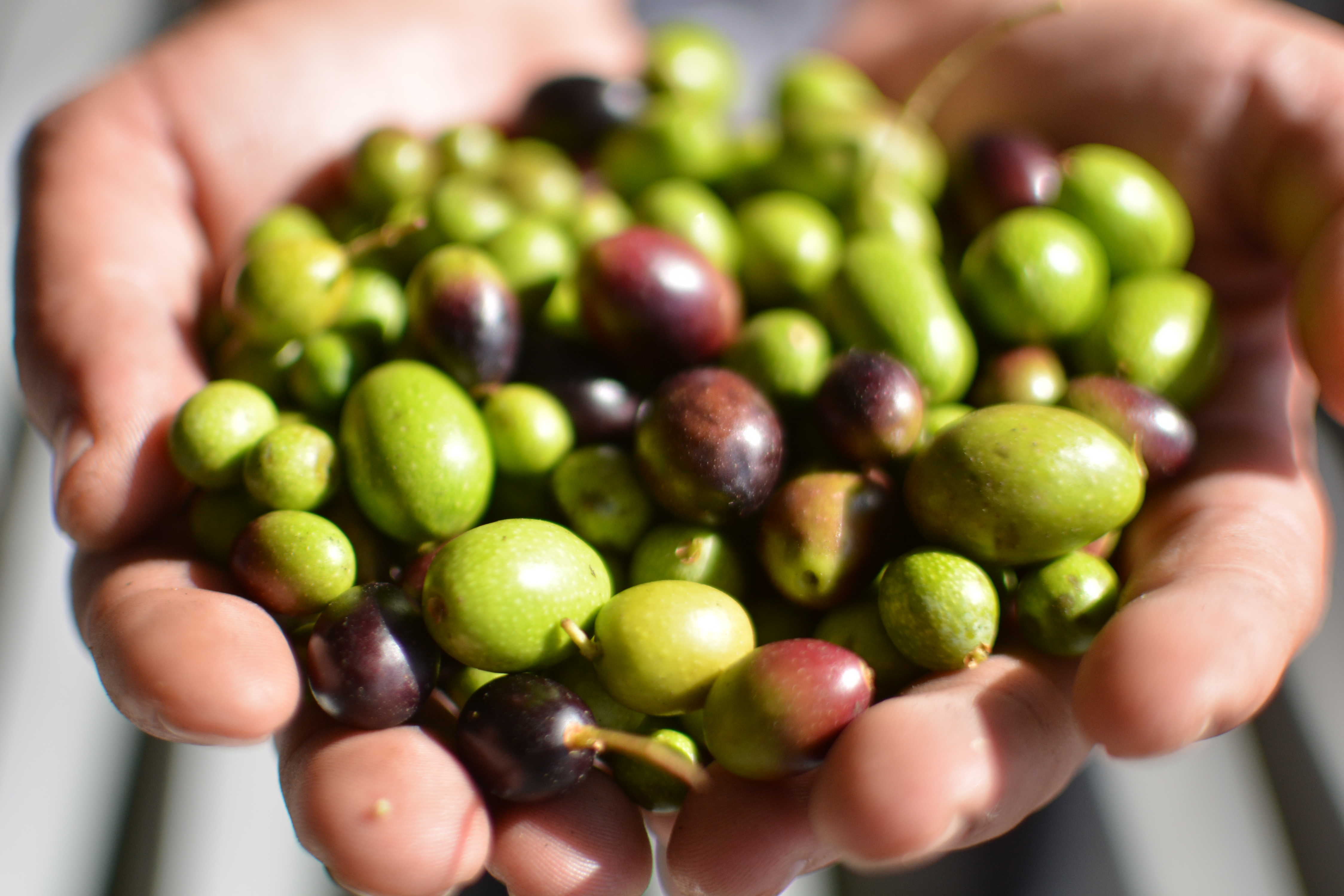 Beneficios del AOVE