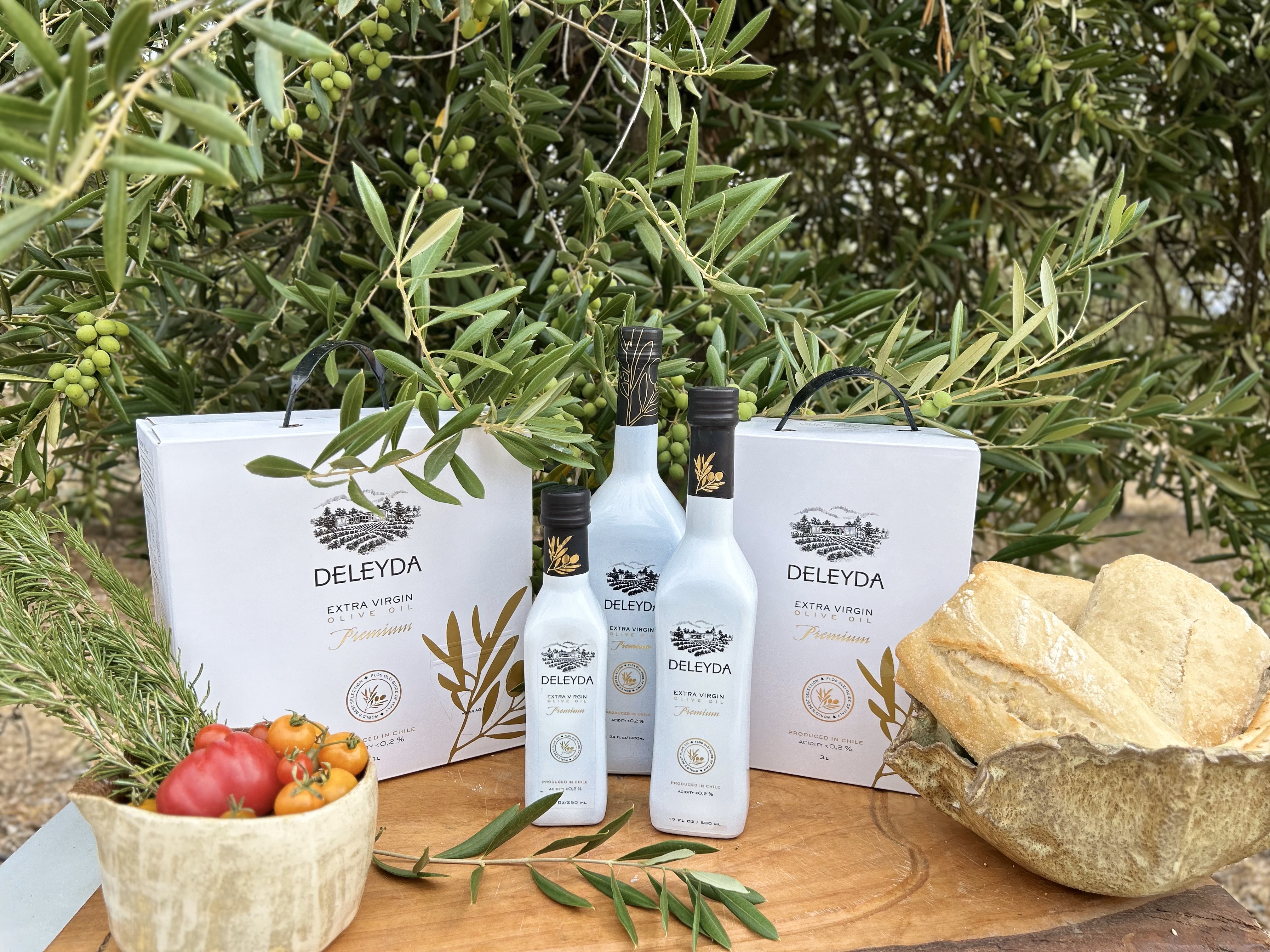 Lo que debes conocer sobre nuestro aceite de oliva