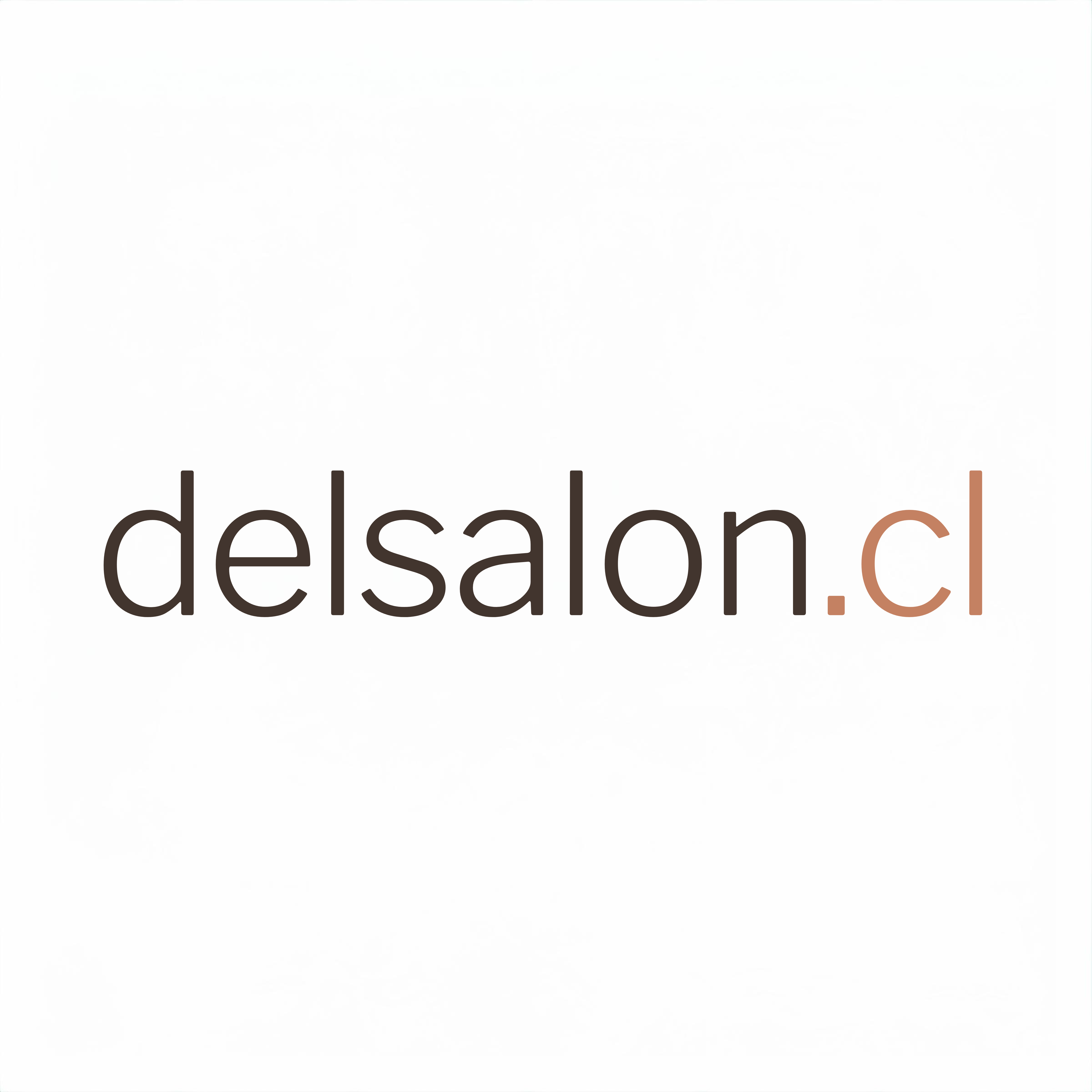 delsalon.cl