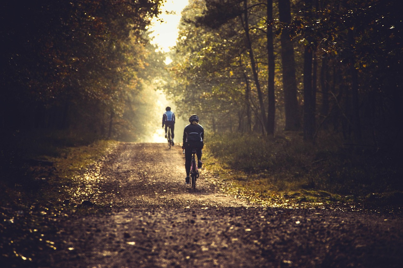 Bicicletas destacadas