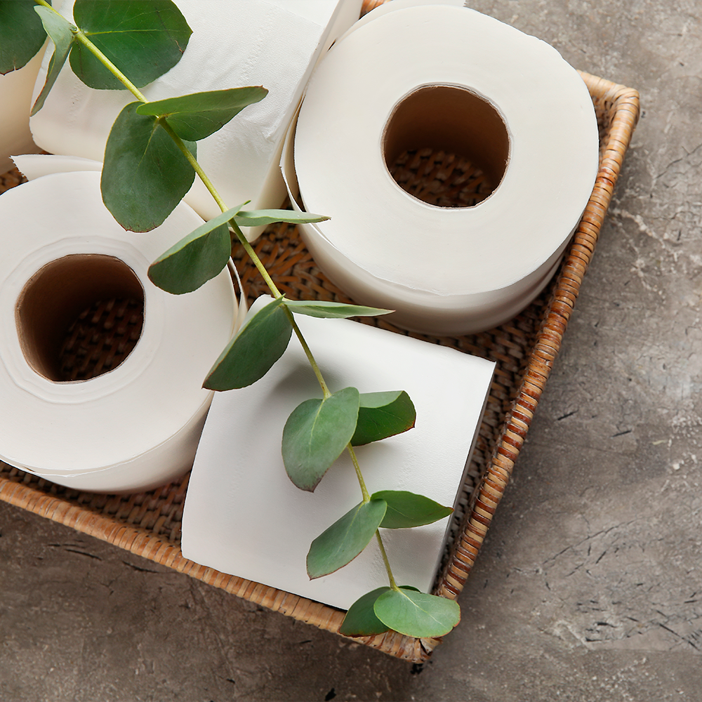 Eco Papeles greencare 