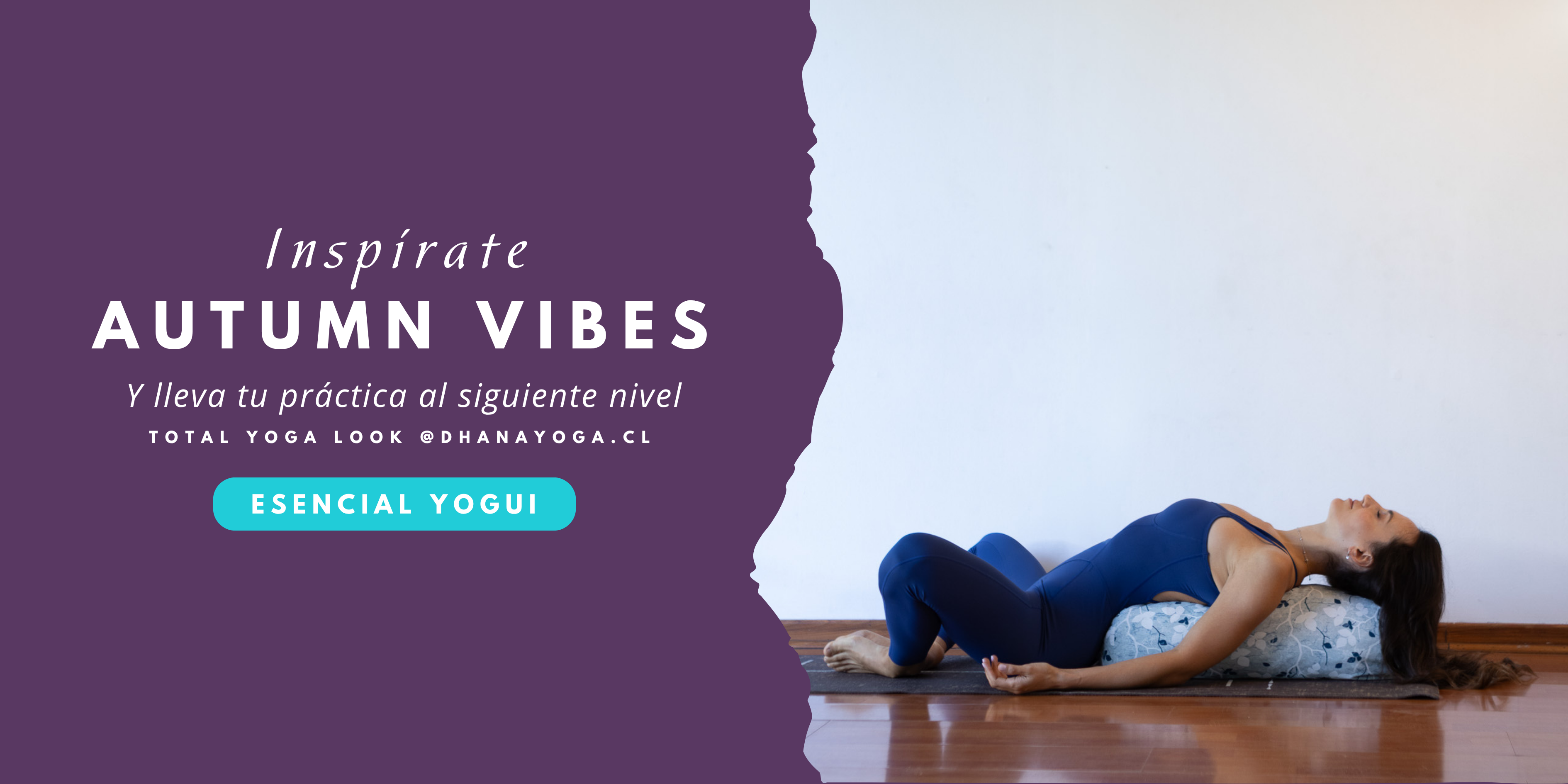 Dhanayoga