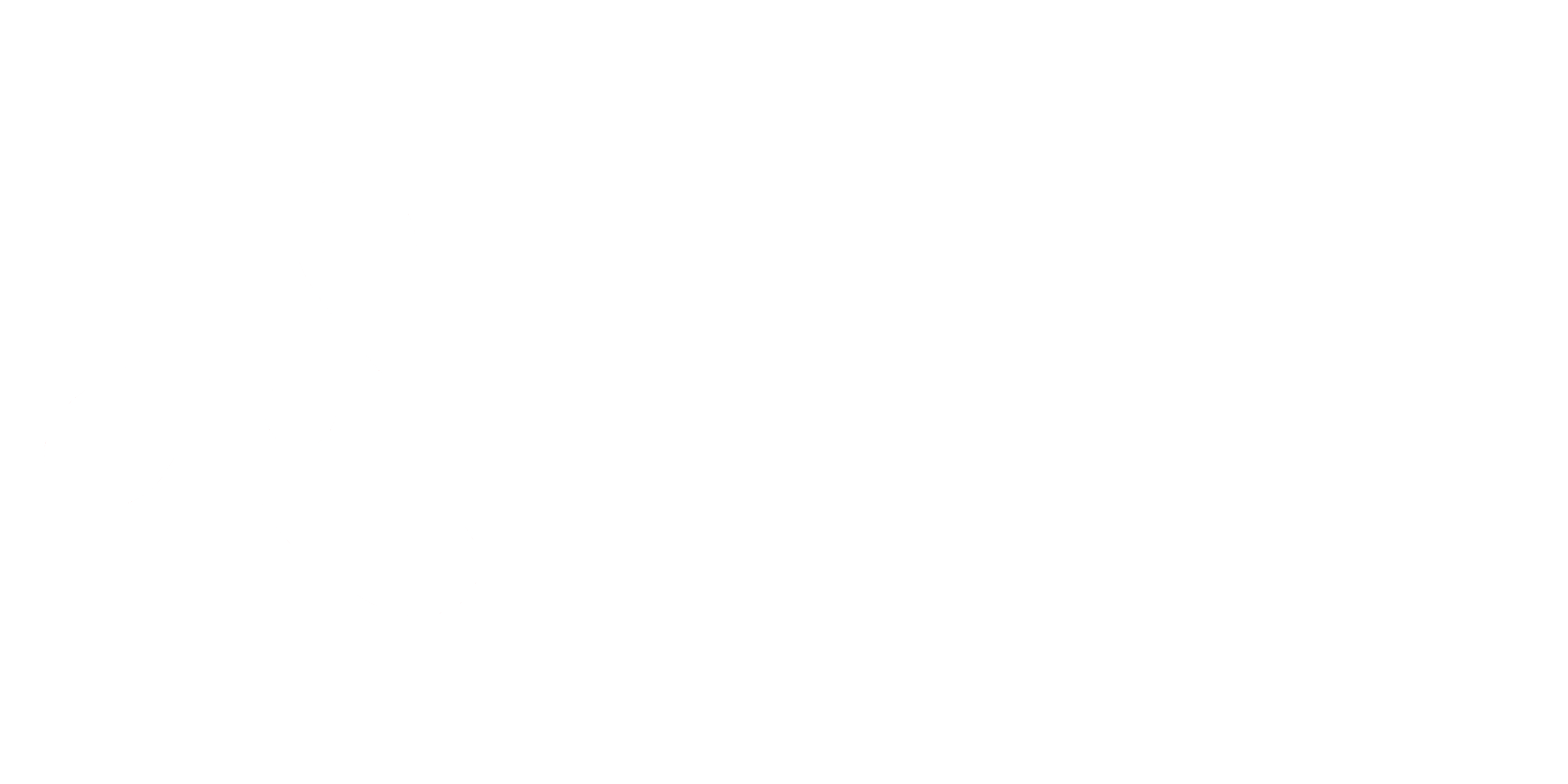 Dicore