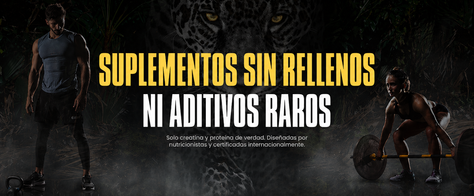 Título de la Sección