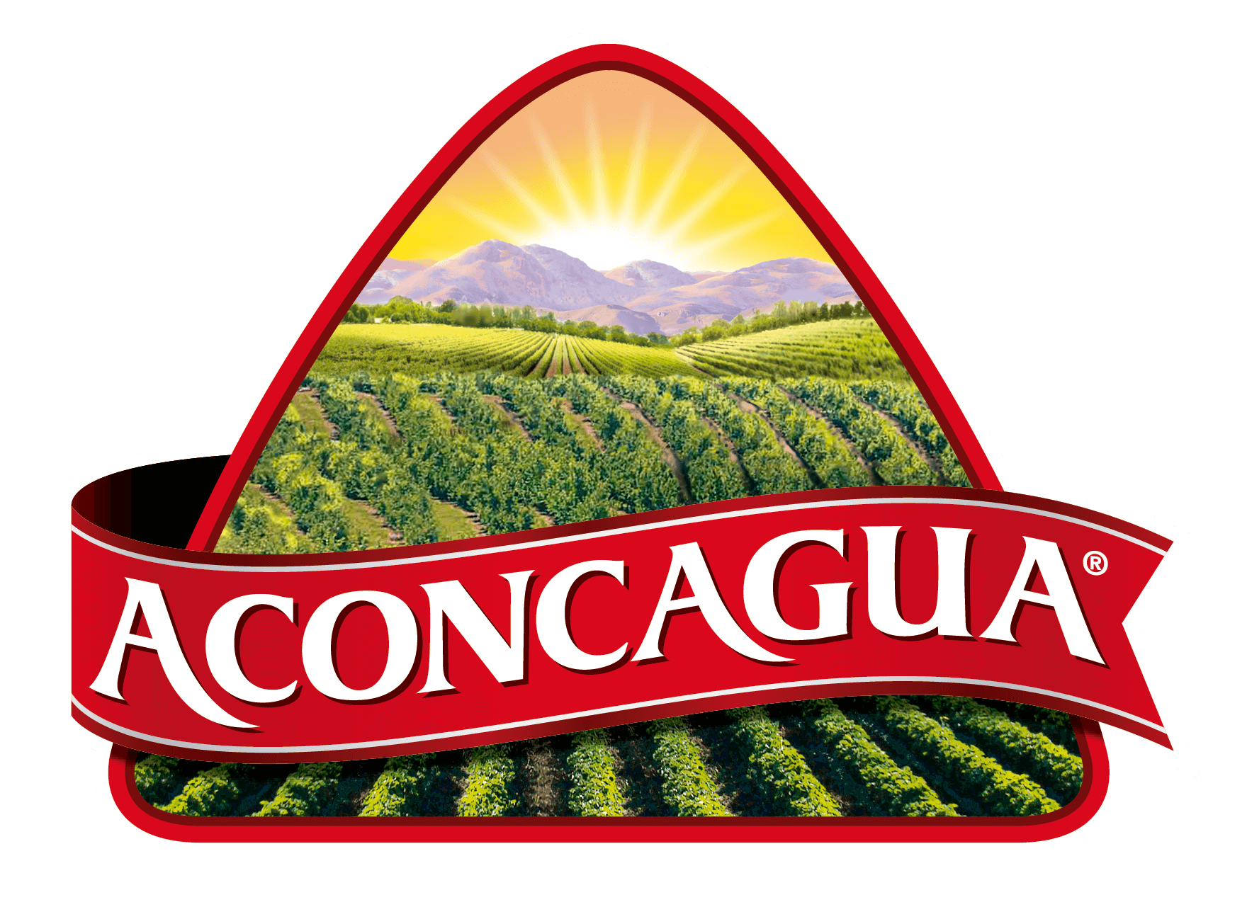 Distribuidora José González y Cía Ltda