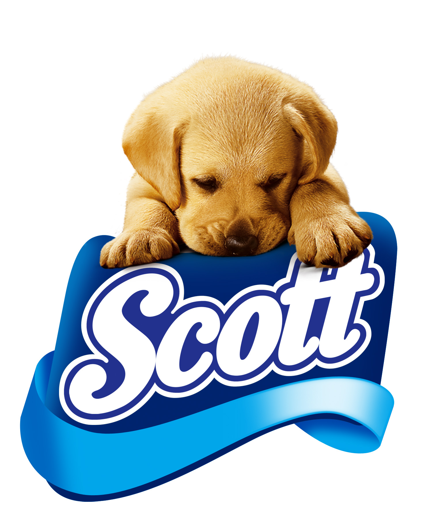 Distribuidora José González y Cía Ltda