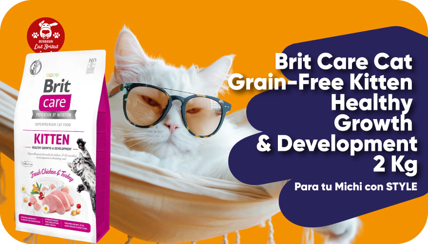 Agrega tus banners