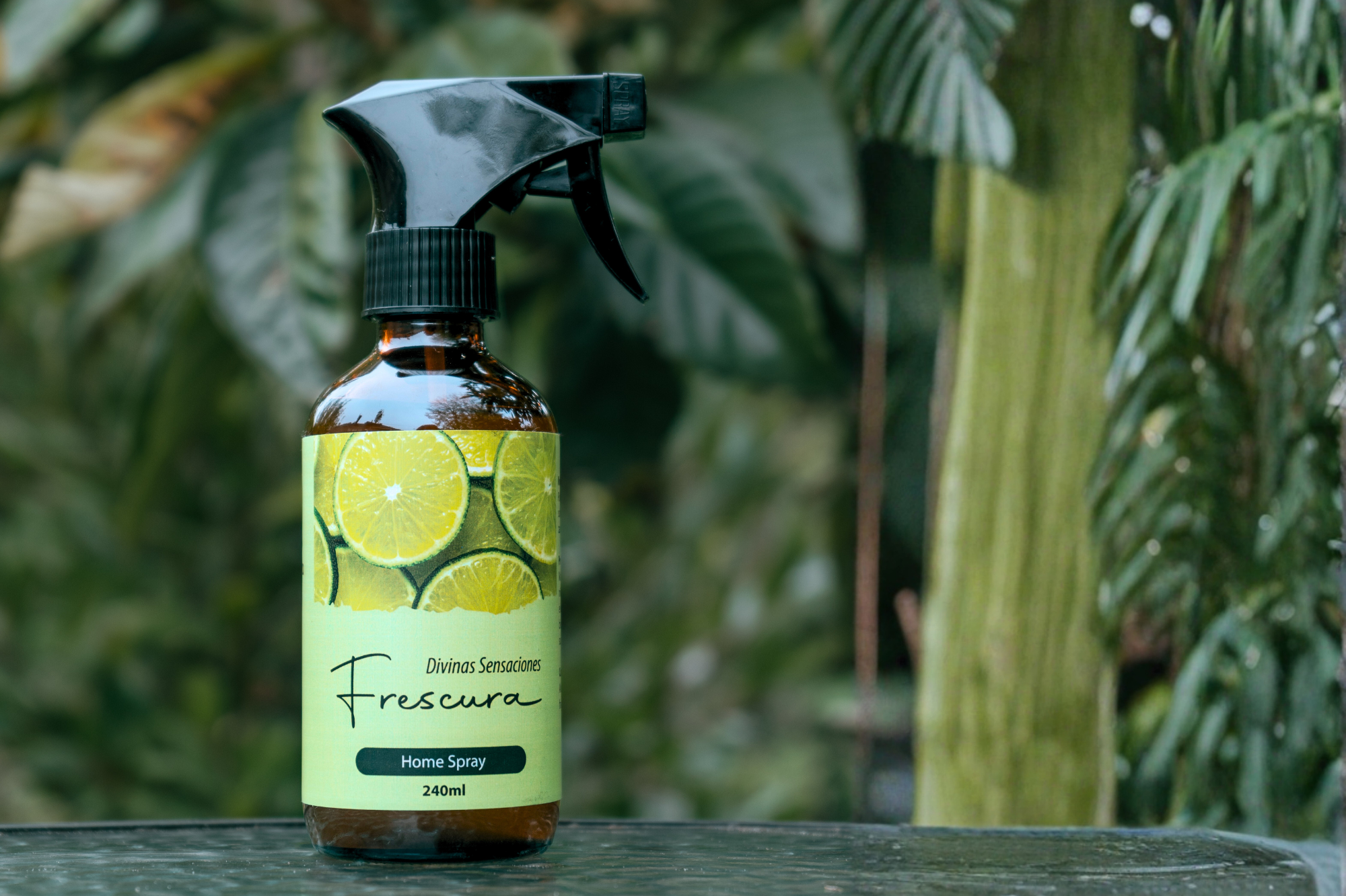 Refrescar todos tus espacios