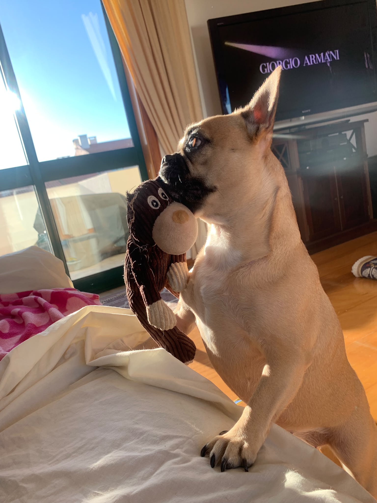 Dogmix