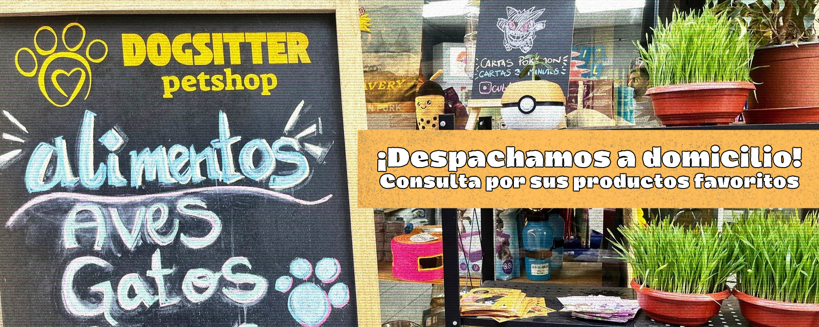 Dogsitter Petshop