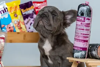 Comida para perros Dogsy pet
