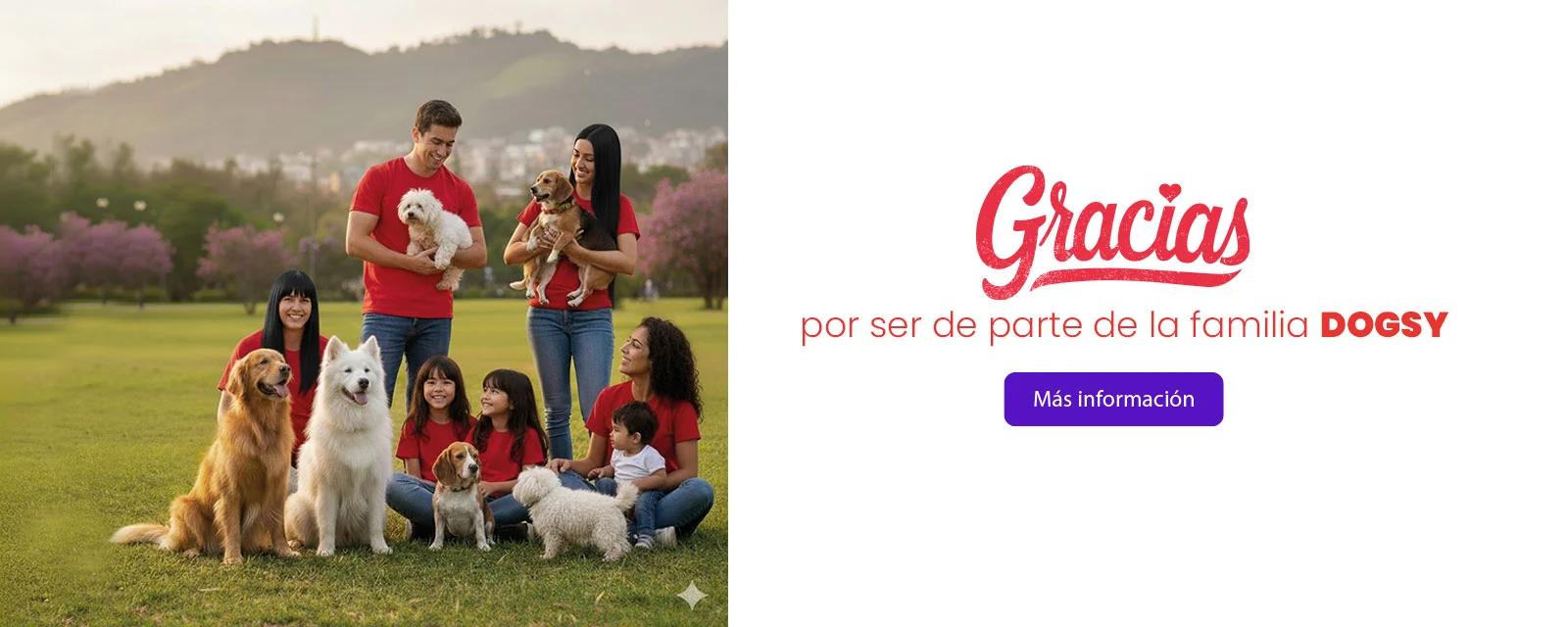 Helados para perros Dogsy