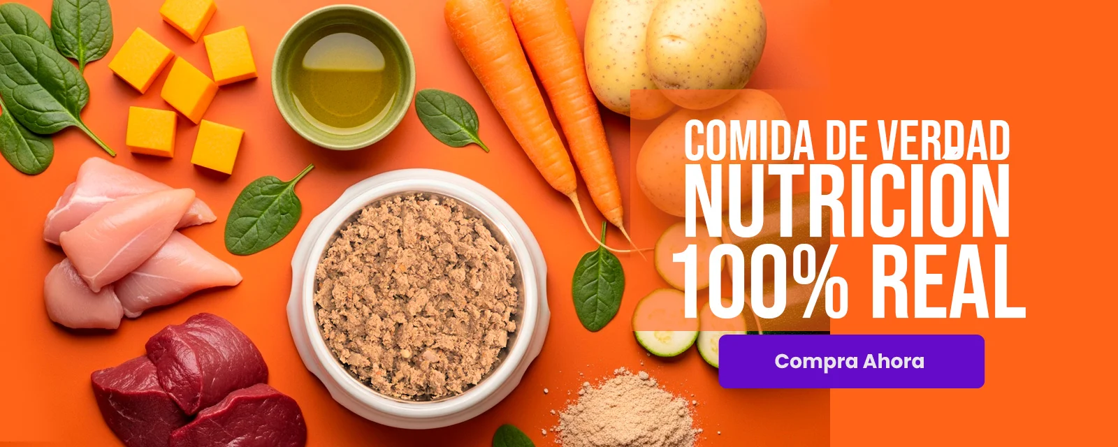 Comida para perros Dogsy