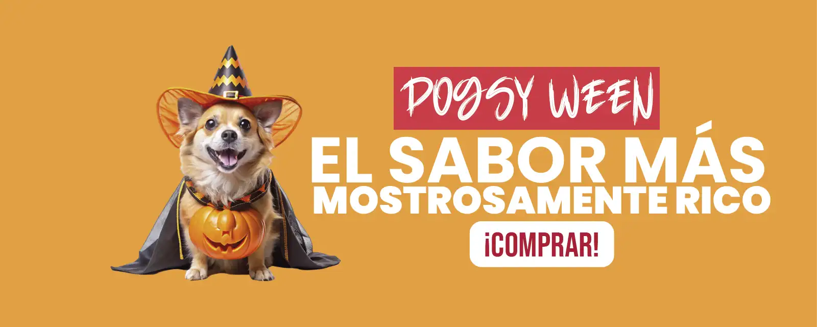 Helados para perros Dogsy
