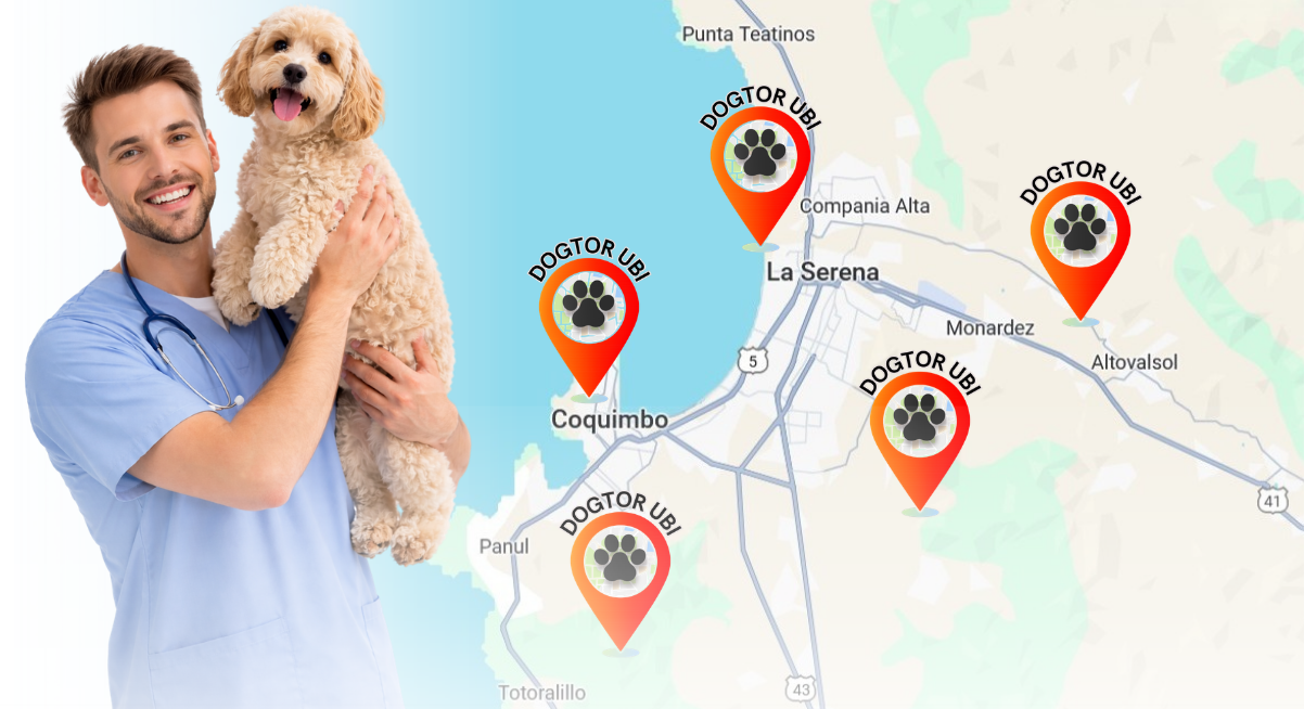 Zonas de Servicios y envíos