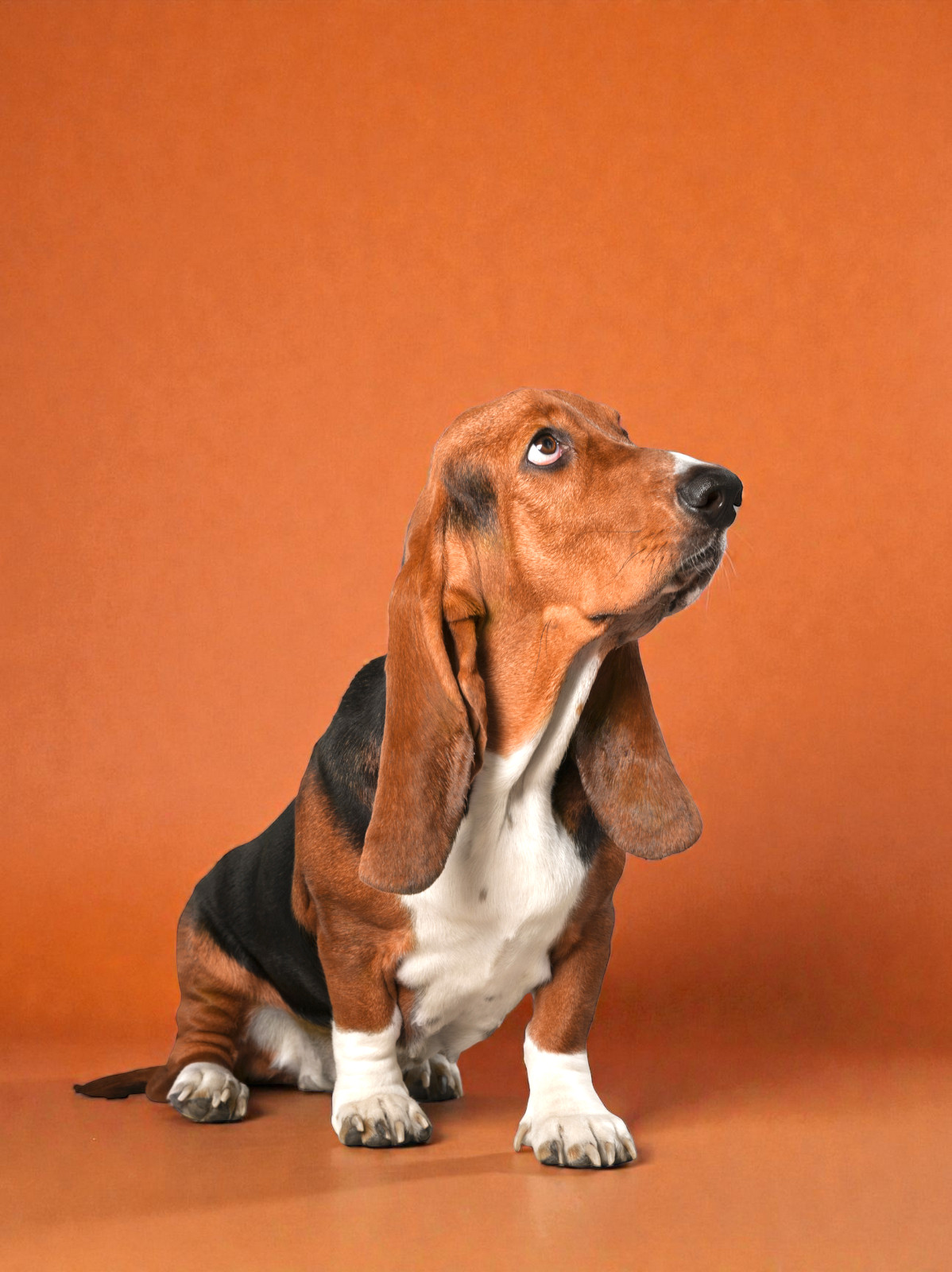 Vacunación KC (antigripal) para adultos a domicilio