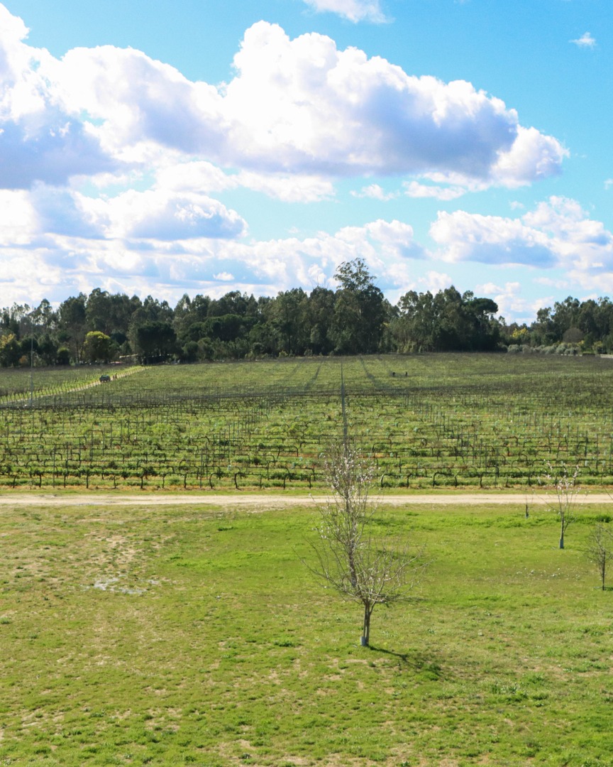 Come and experience the<br>
<div>Nature of the Dão</div>