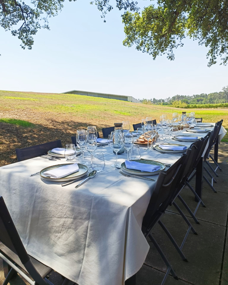 Come and experience the<br>
<div>Nature of the Dão</div>