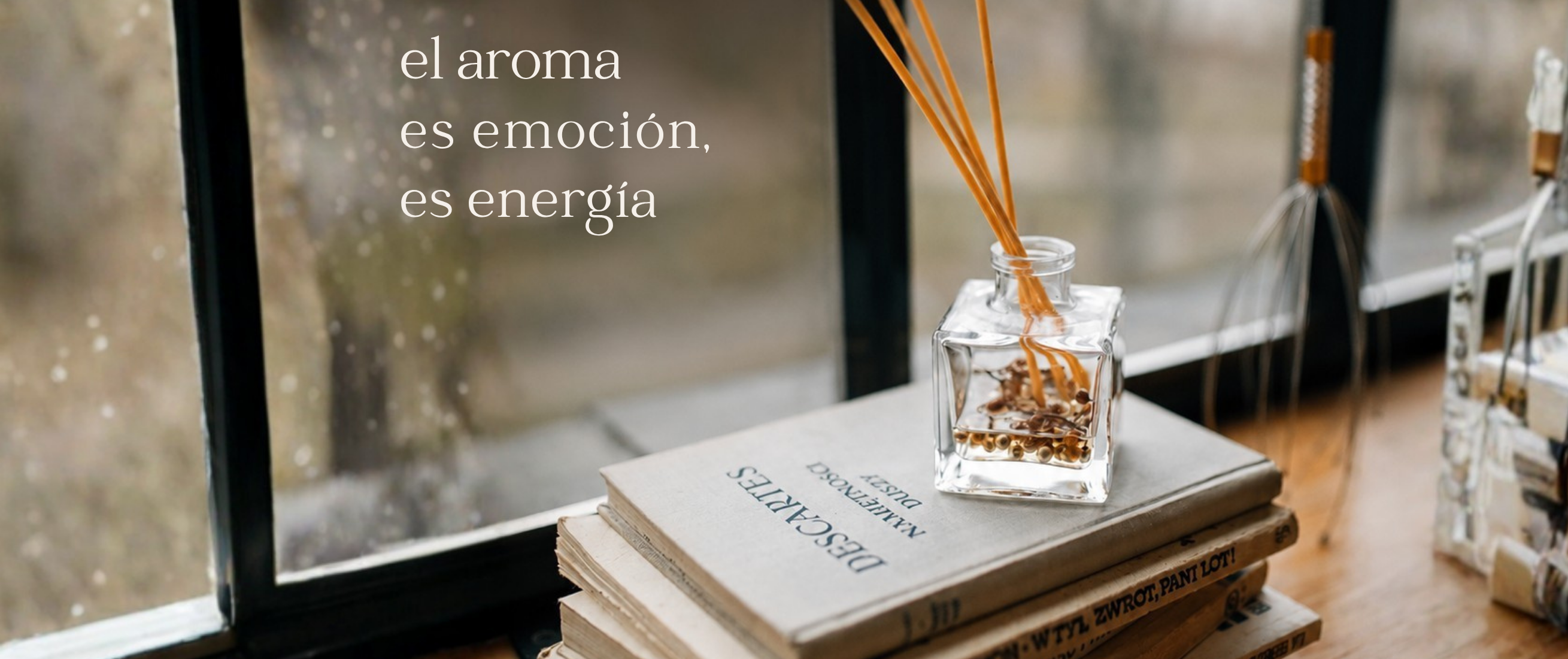 Dfusor de ambiente premium  sin ftalatos cruelty free
