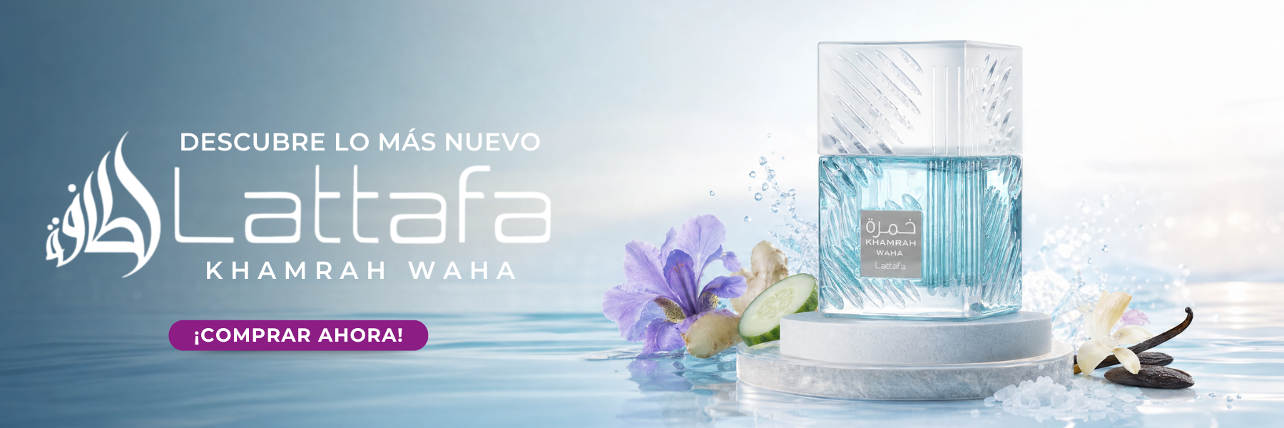 Dreams Parfums Mayorista