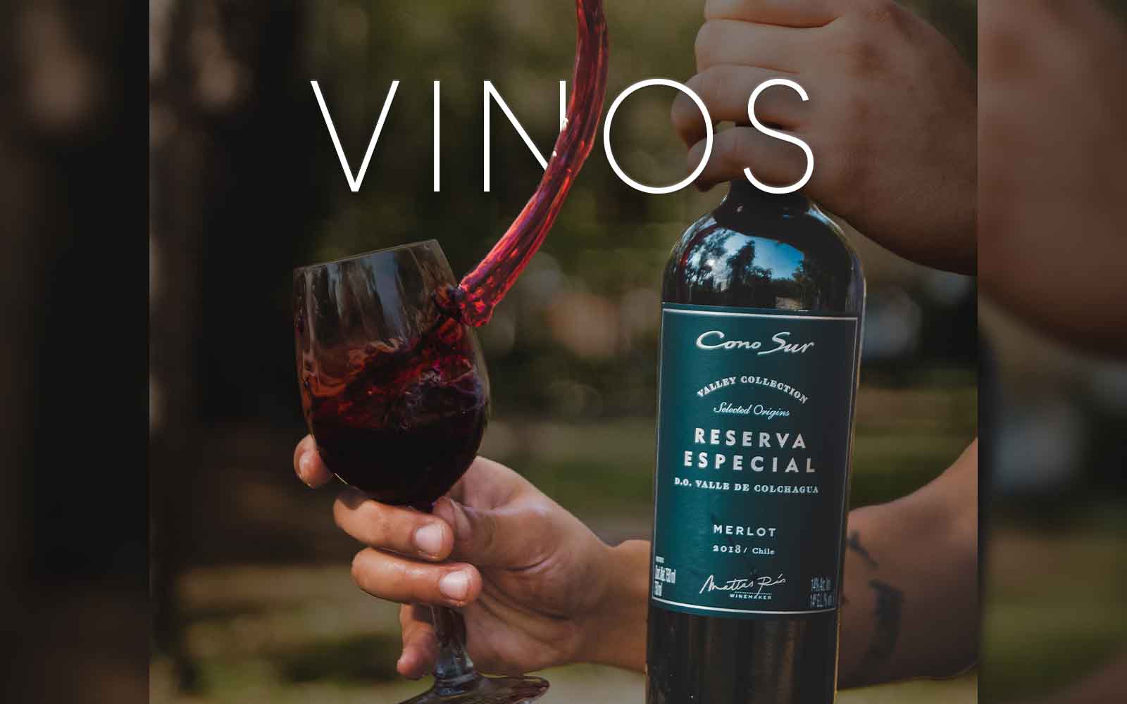 Vino