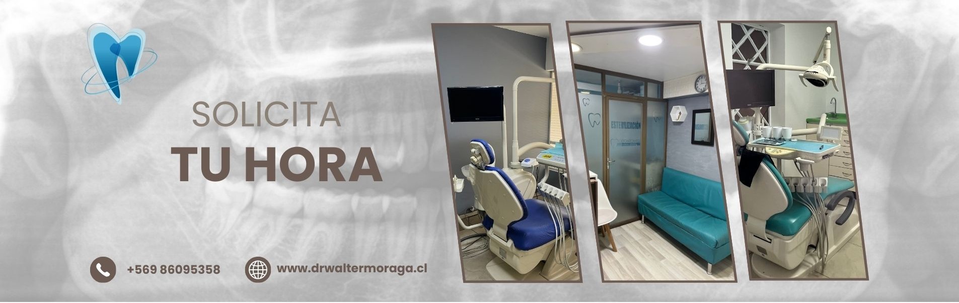 Dr. Walter Moraga Verdugo
