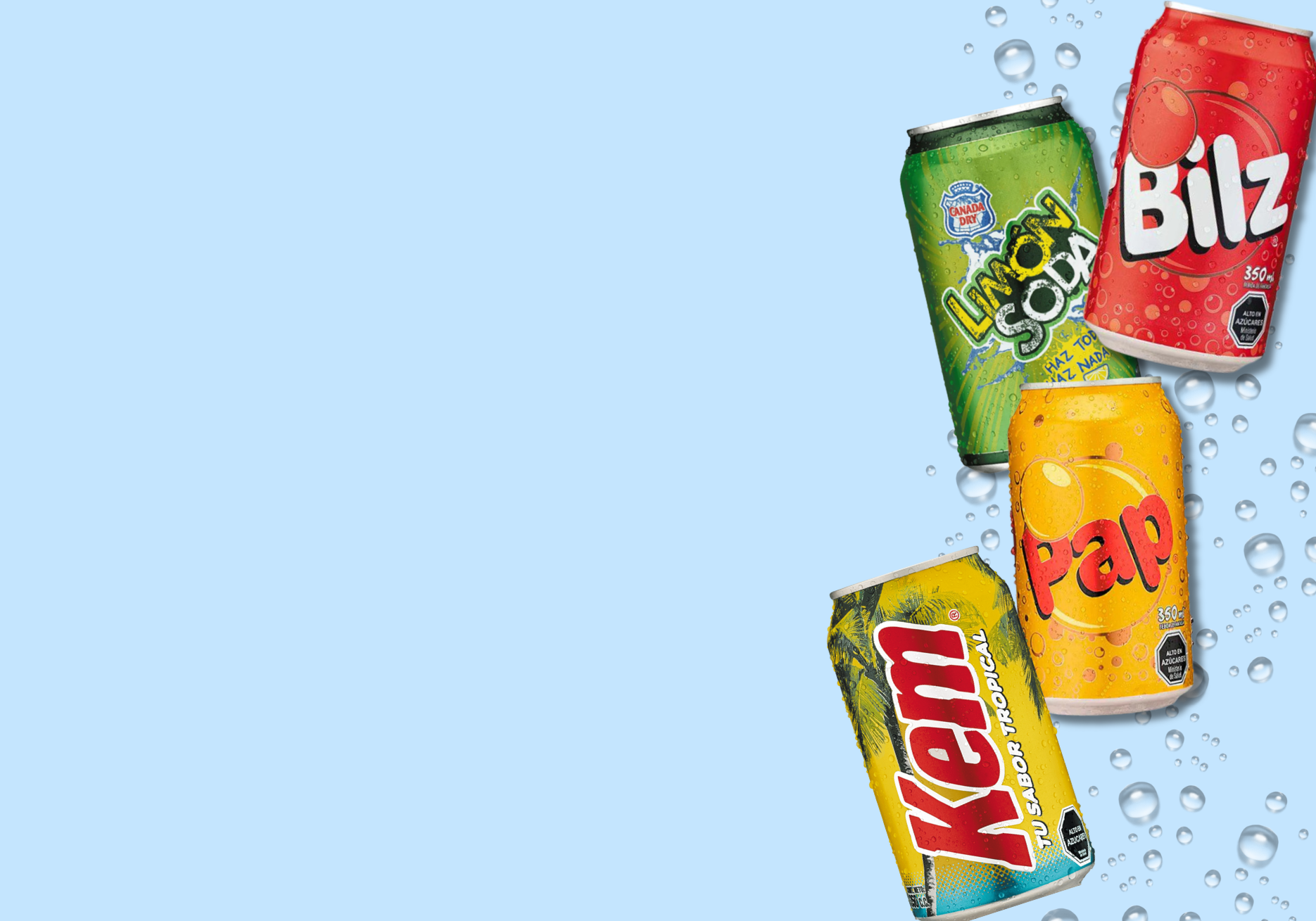 Descubre nuestra variedad