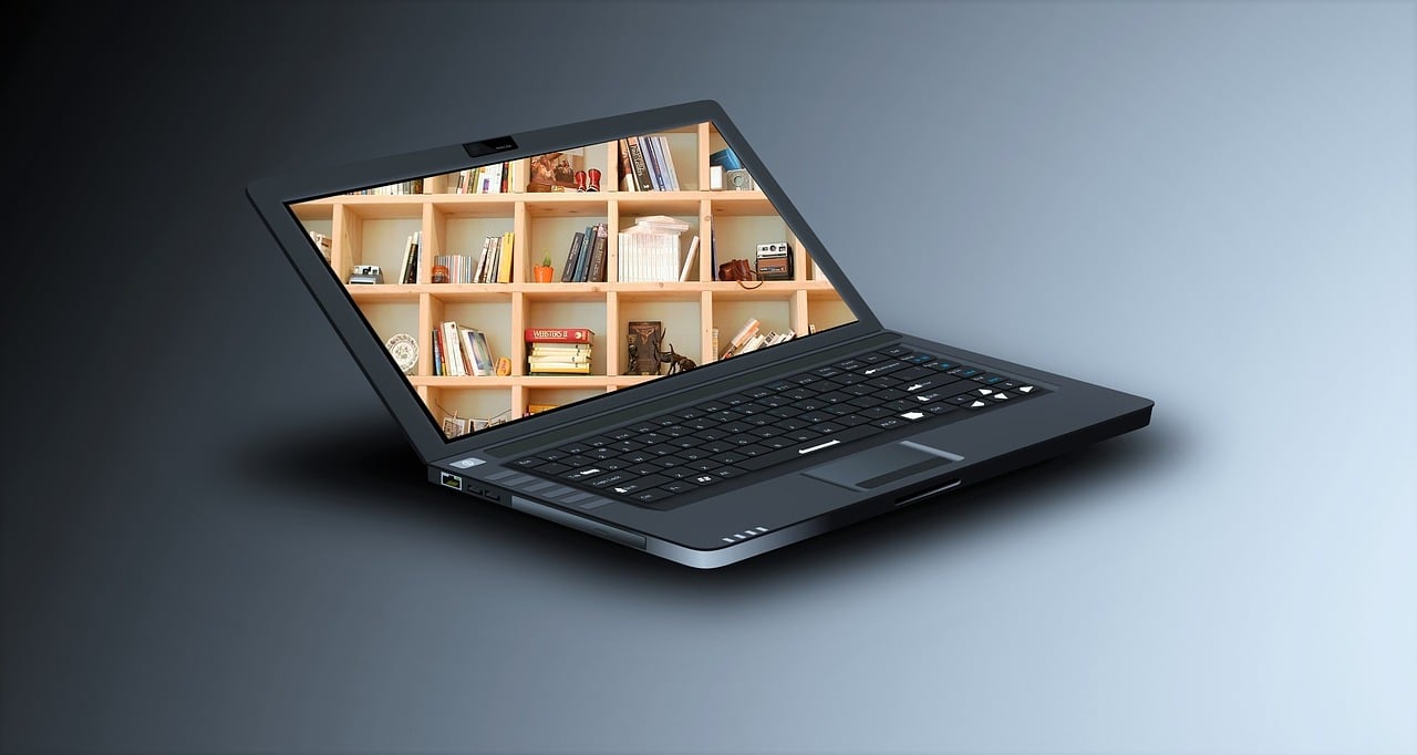 Over 30,000 books for only $100!