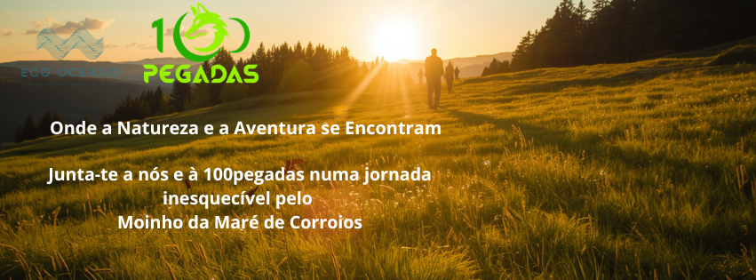 Roteiro das Tradições Brancas: Farinha, Sal e Bacalhau