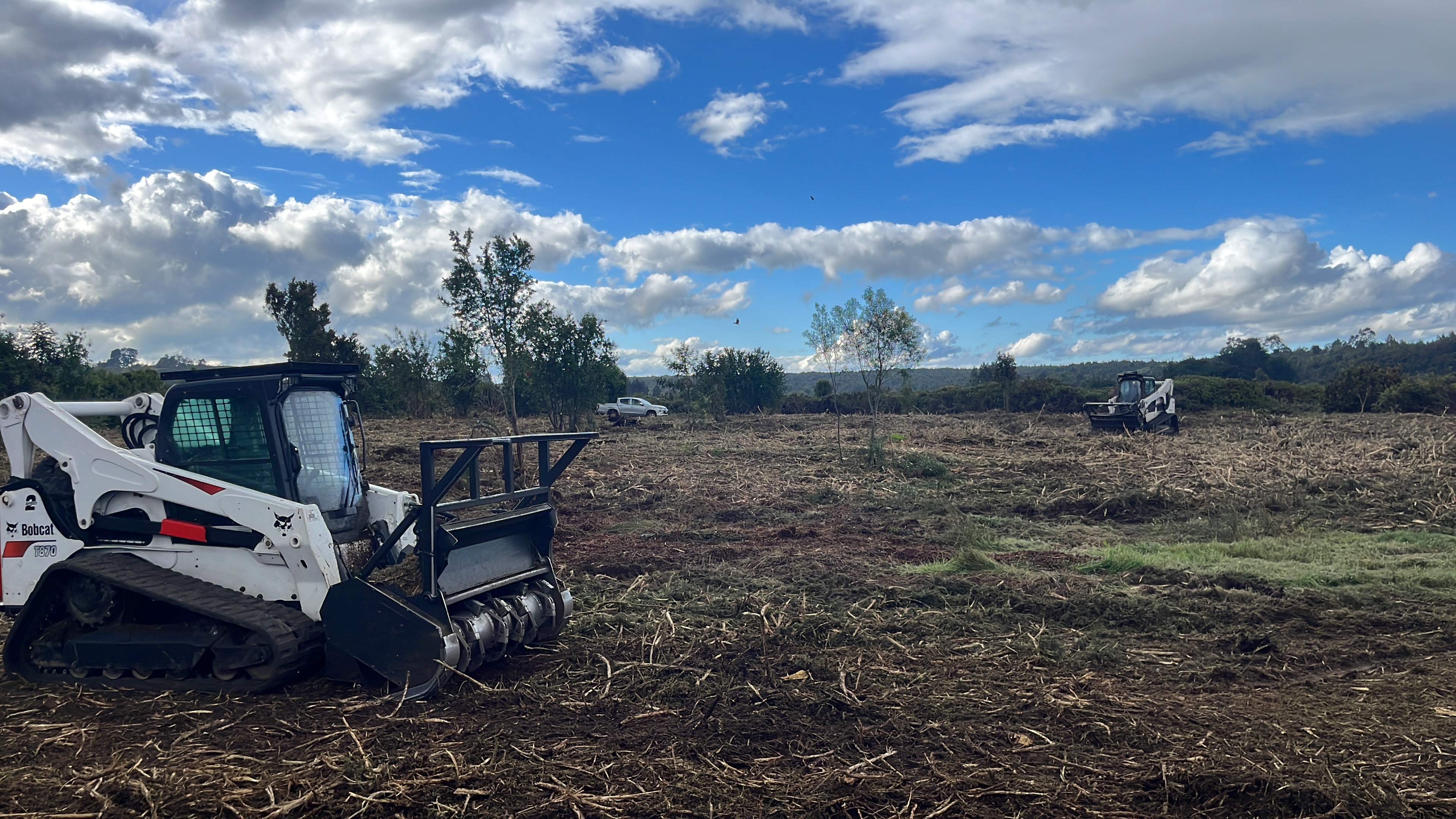 <b>¿QUÉ ES ECOFORESTRY?</b>