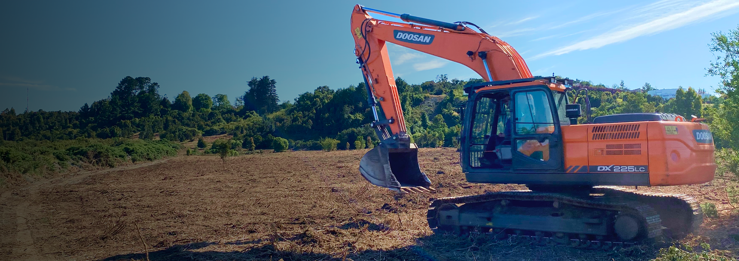 <span style="font-family: var(--font-main); font-size: 30px;"><b>Limpieza de terrenos </b></span>