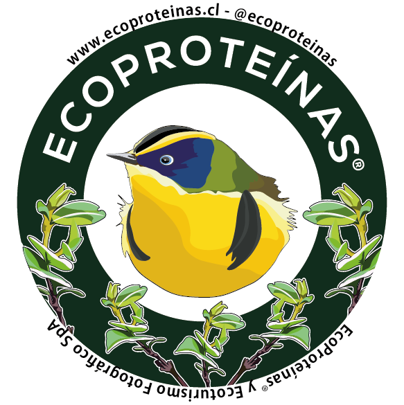 EcoProteínas®