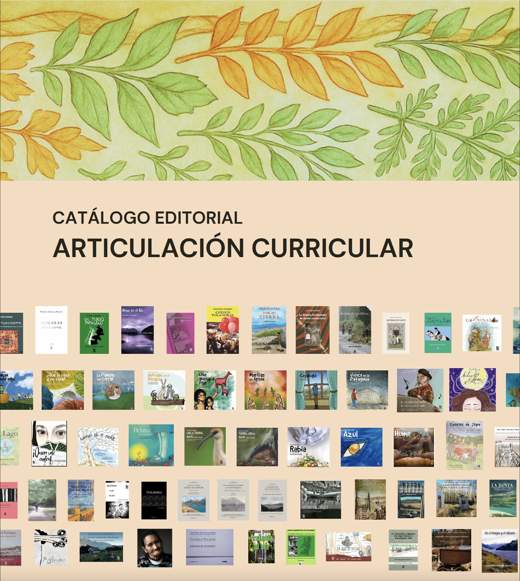 Catálogo articulación curricular
