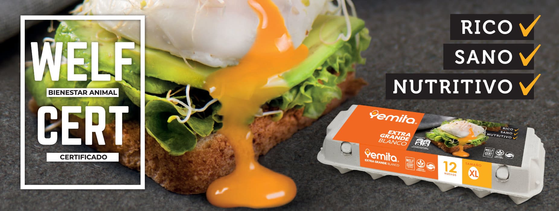 <span style="color: rgb(0, 0, 0); font-family: "Didact Gothic", sans-serif; font-size: 2.5rem; font-weight: 700; letter-spacing: var(--title-spacing); text-transform: var(--title-text-transform);">Certificación Welf Cert</span>