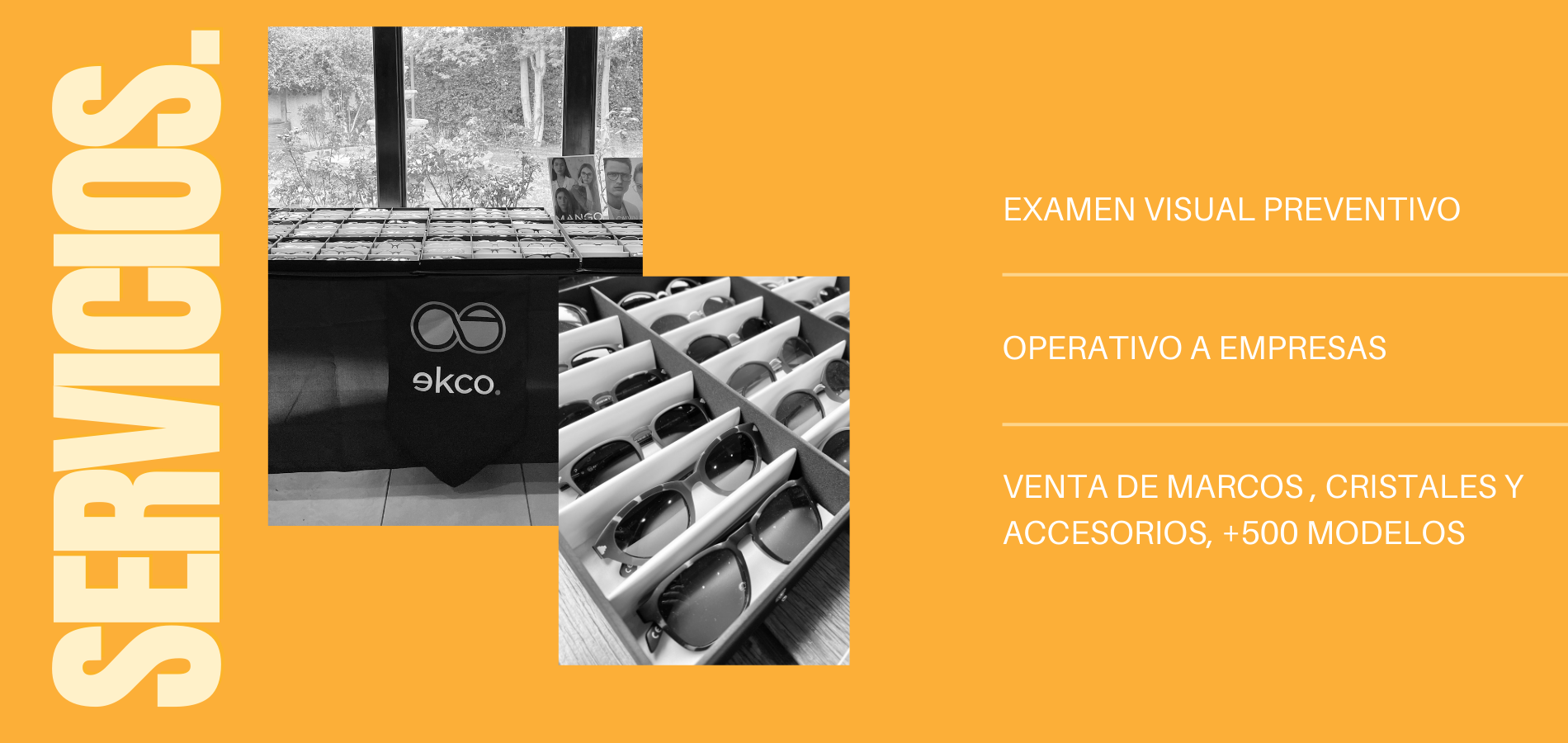 Título de la Sección