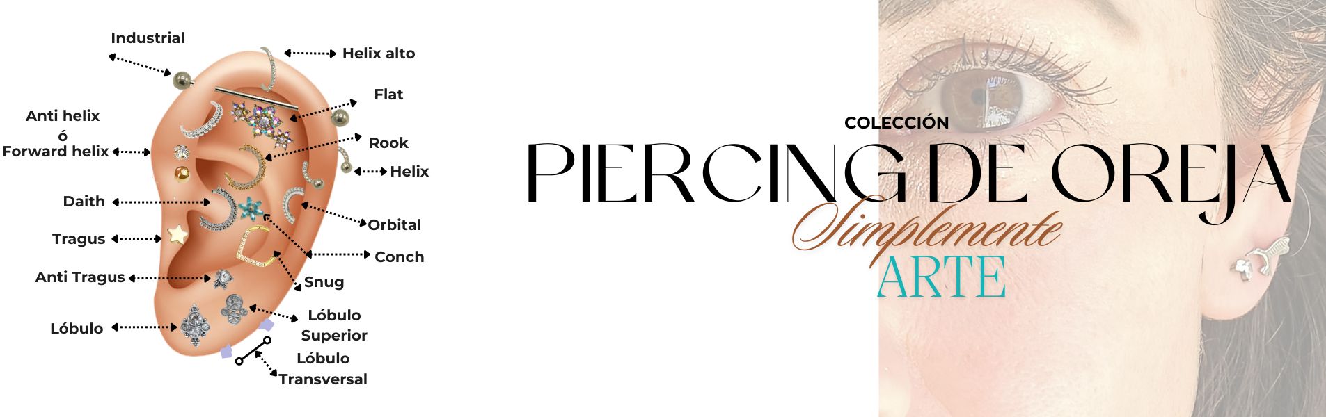 Piercings y expansores Nostril Tragus Flag Septum