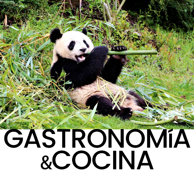 El Chascón de los Libros