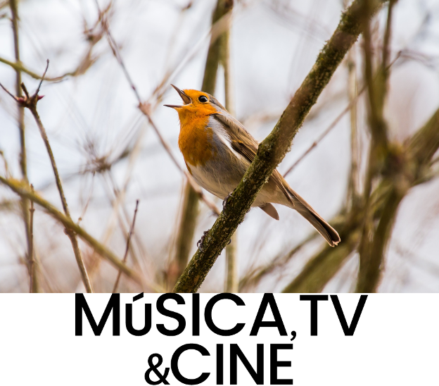 El Chascón de los Libros