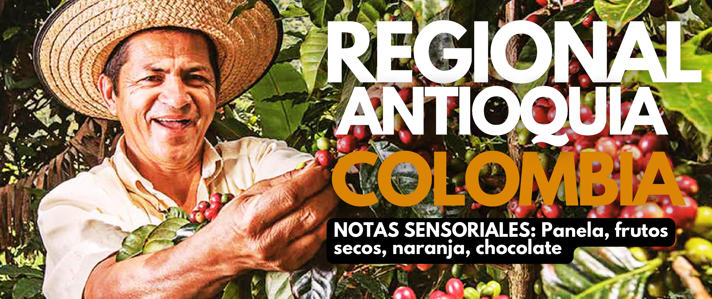 Regional Antioquia