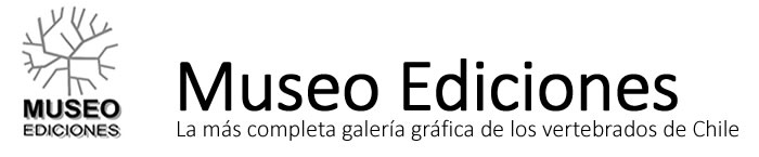 Museo Ediciones