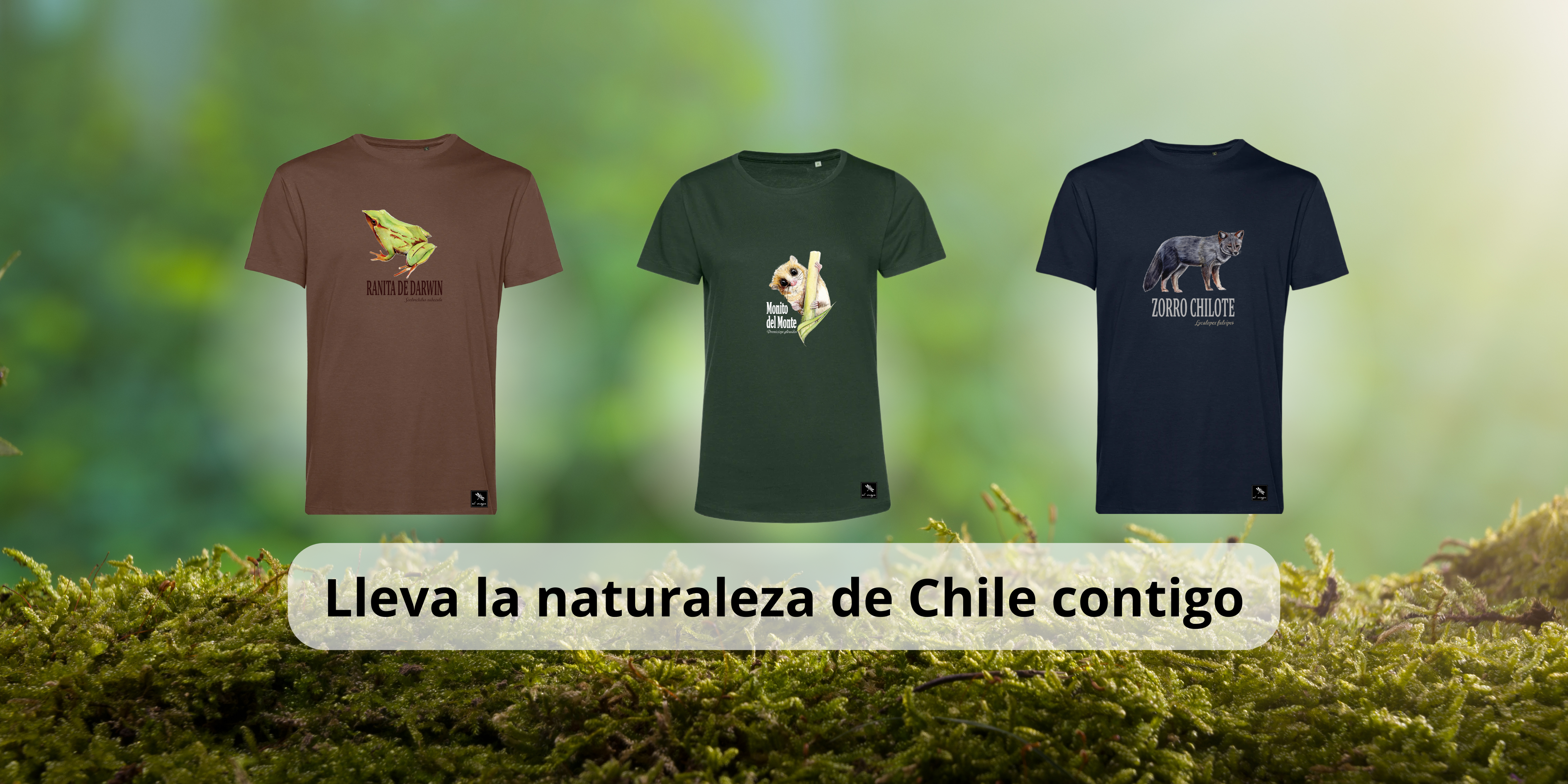Tienda El Viaje