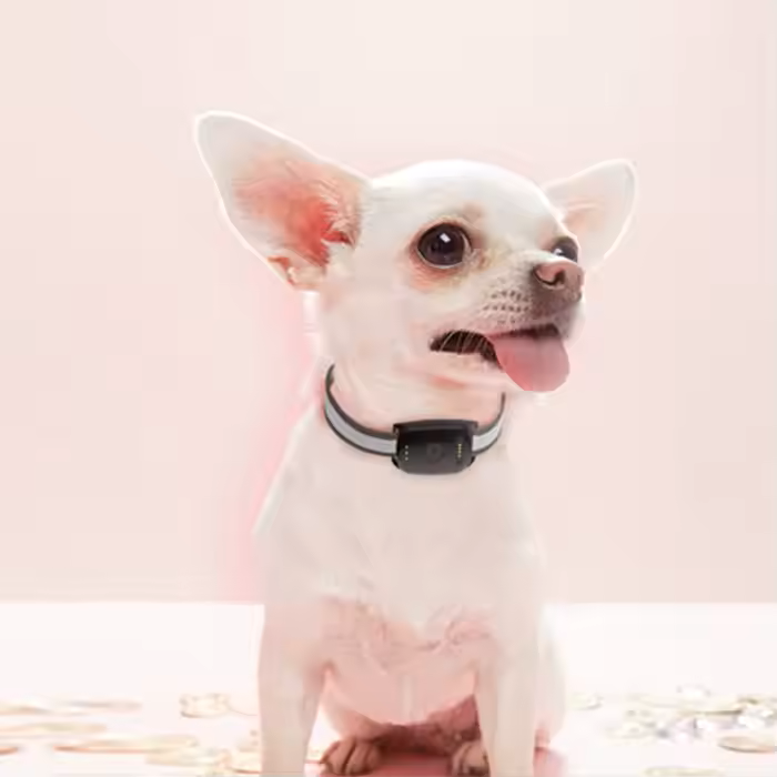 Niños adolescentes con botón de pánico SOS , GPS - Seguridad para niños y adolescentes sin pantallas