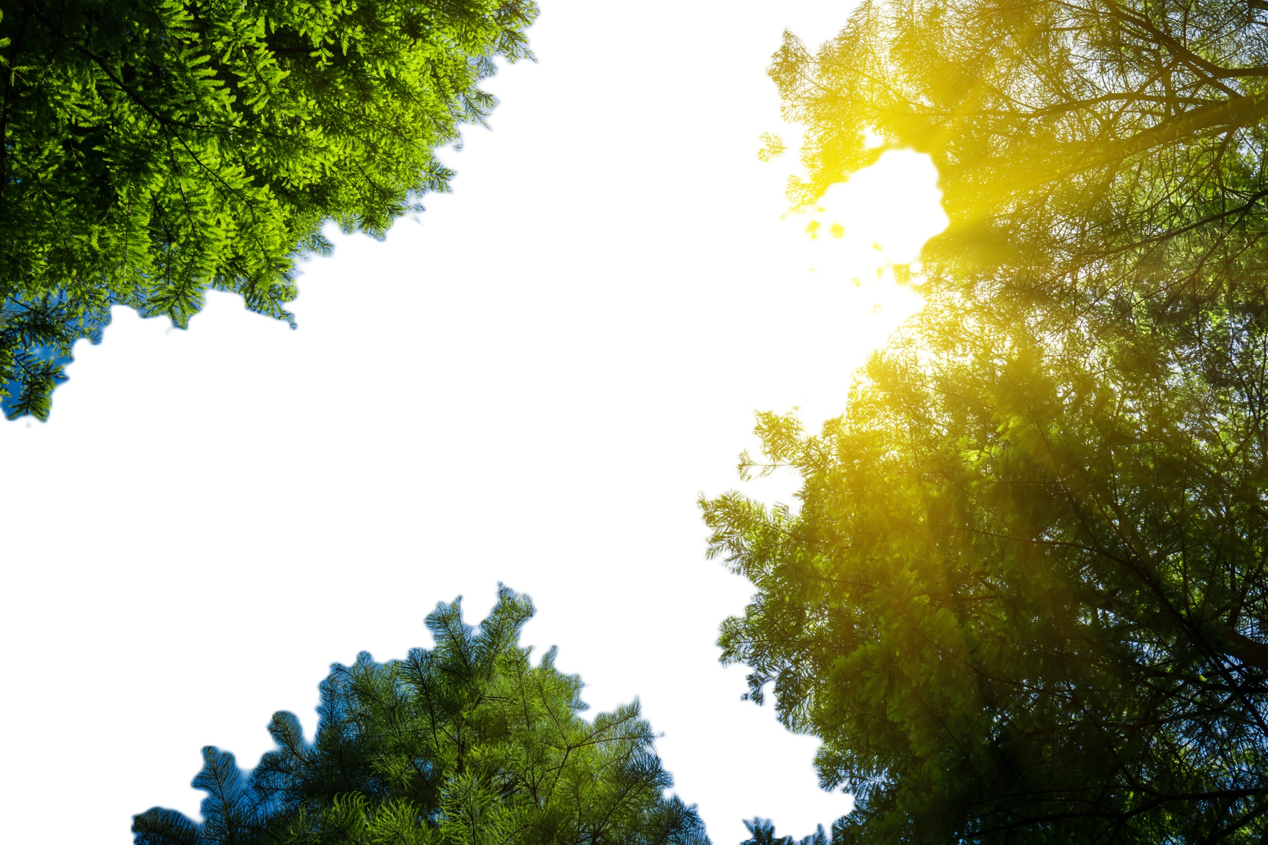 Energía Solar a tu alcance