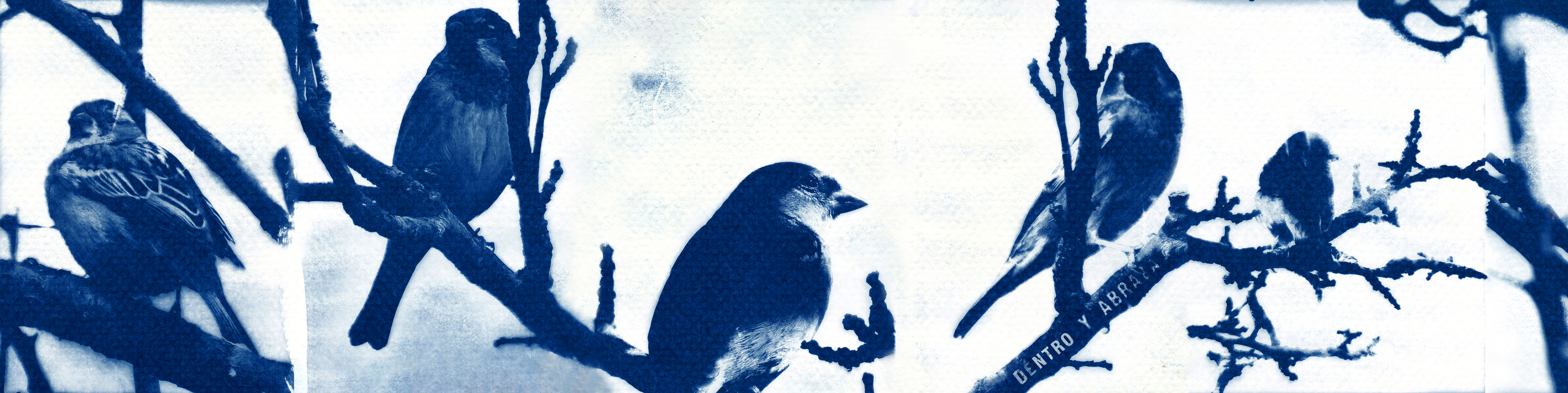 Título de la Sección