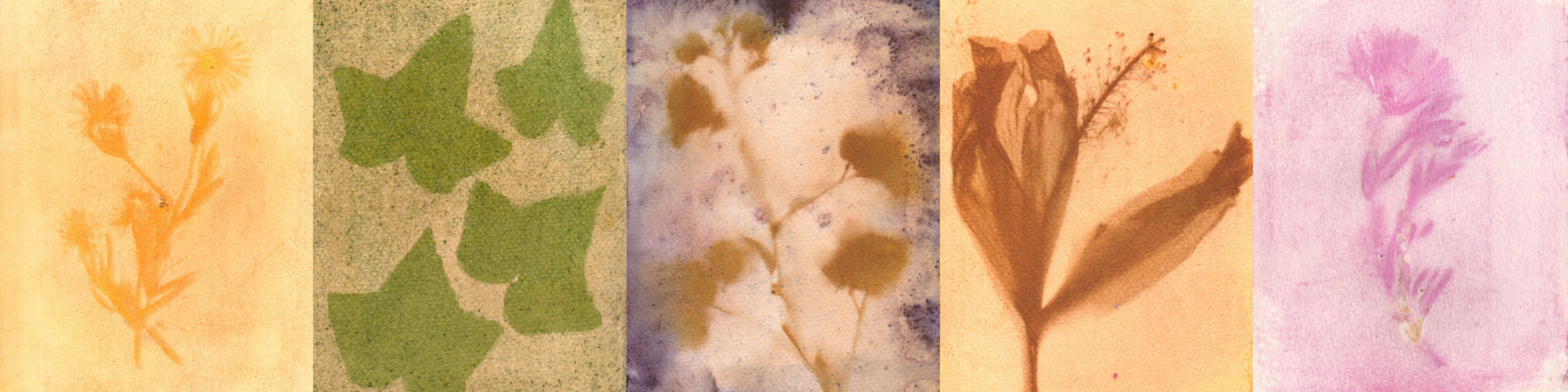 Título de la Sección