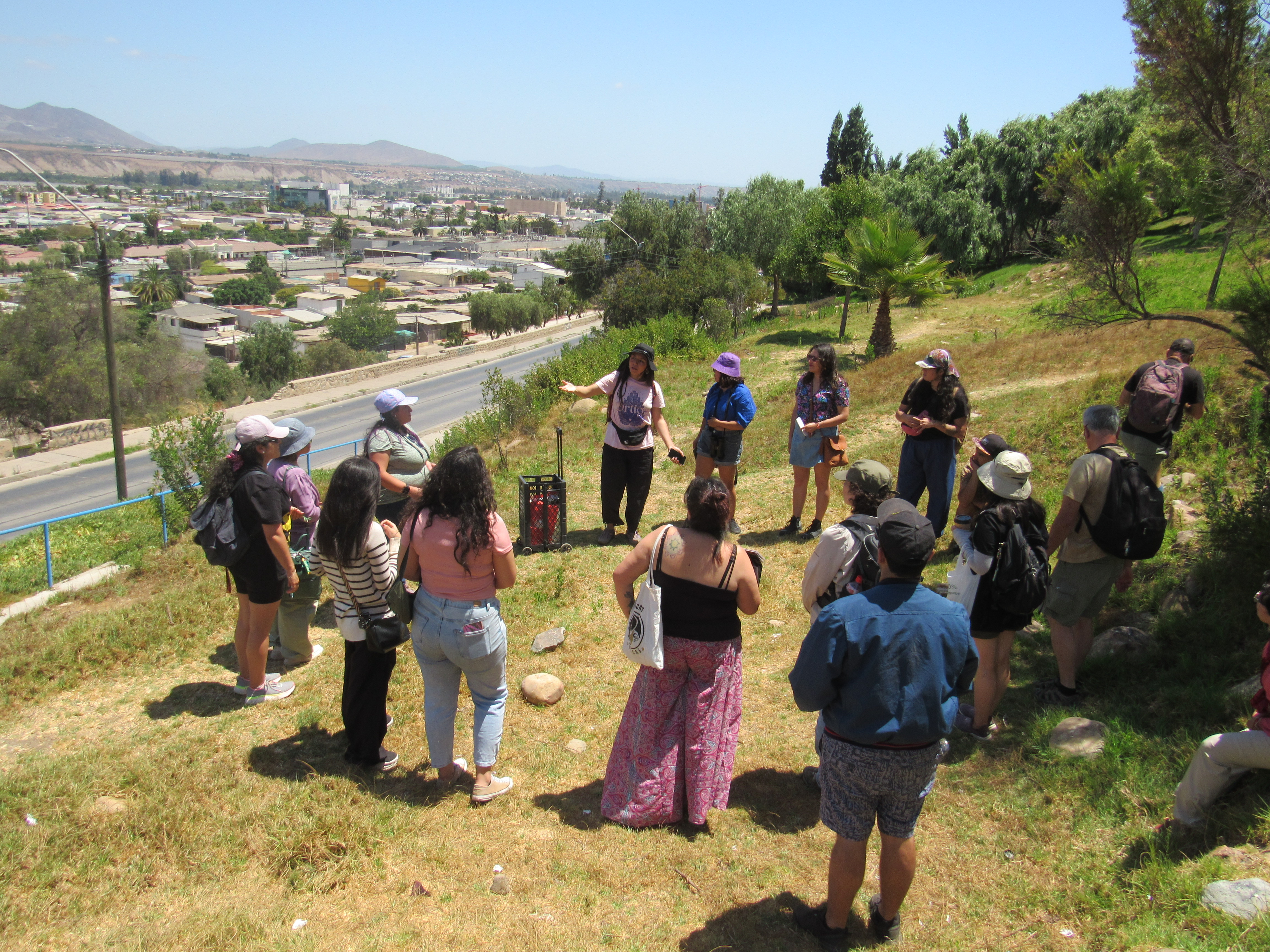 Taller de cianotipia Elementa con participantes creando imágenes botánicas mediante impresión solar y procesos fotográficos artesanales.