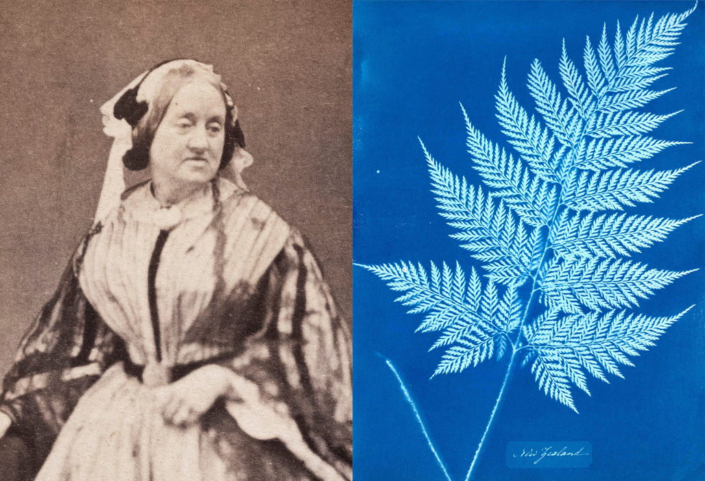 Anna Atkins Elementa