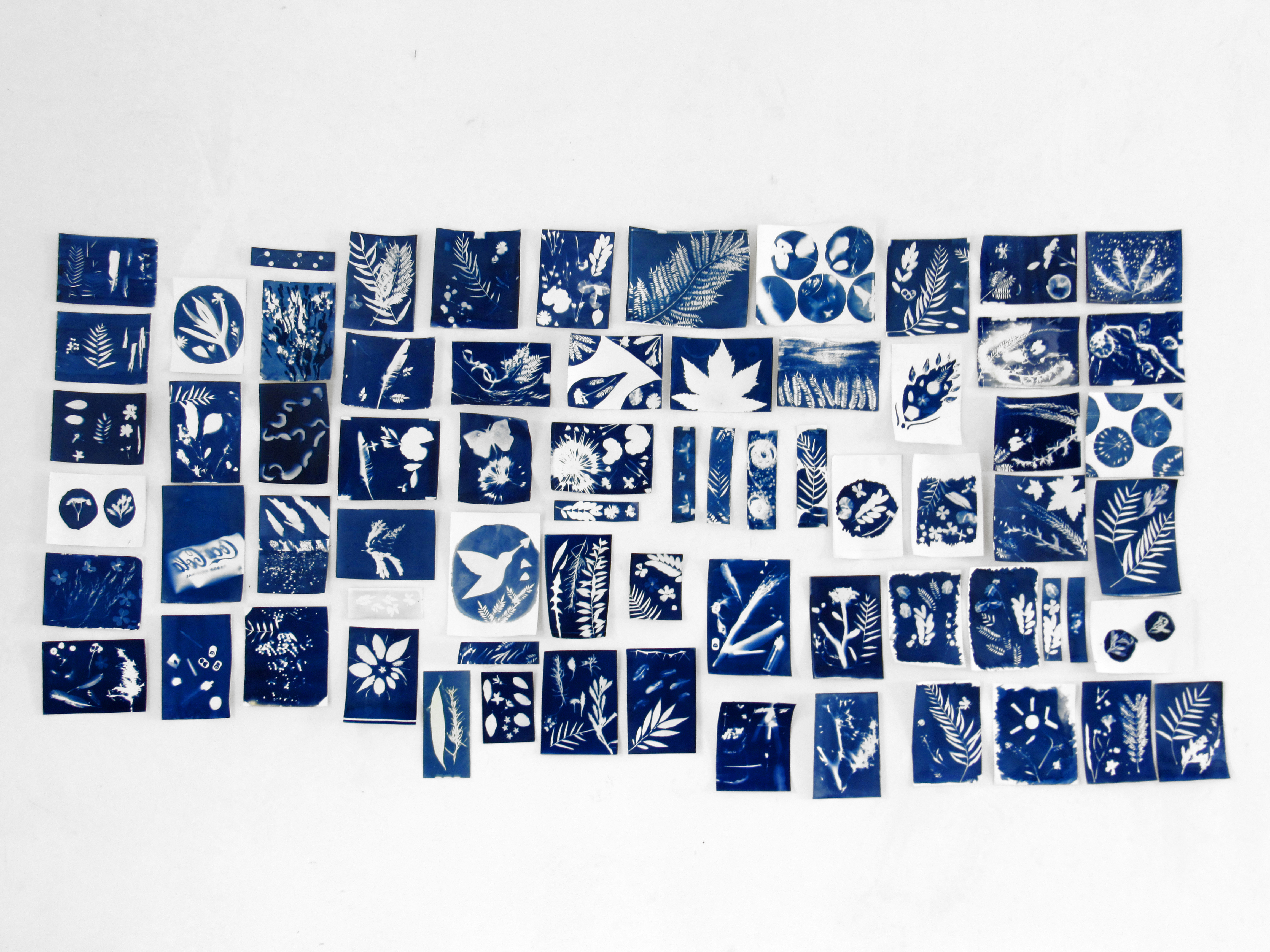 LABORATORIO CREATIVO DE PROCESOS FOTOGRÁFICOS SUSTENTABLES