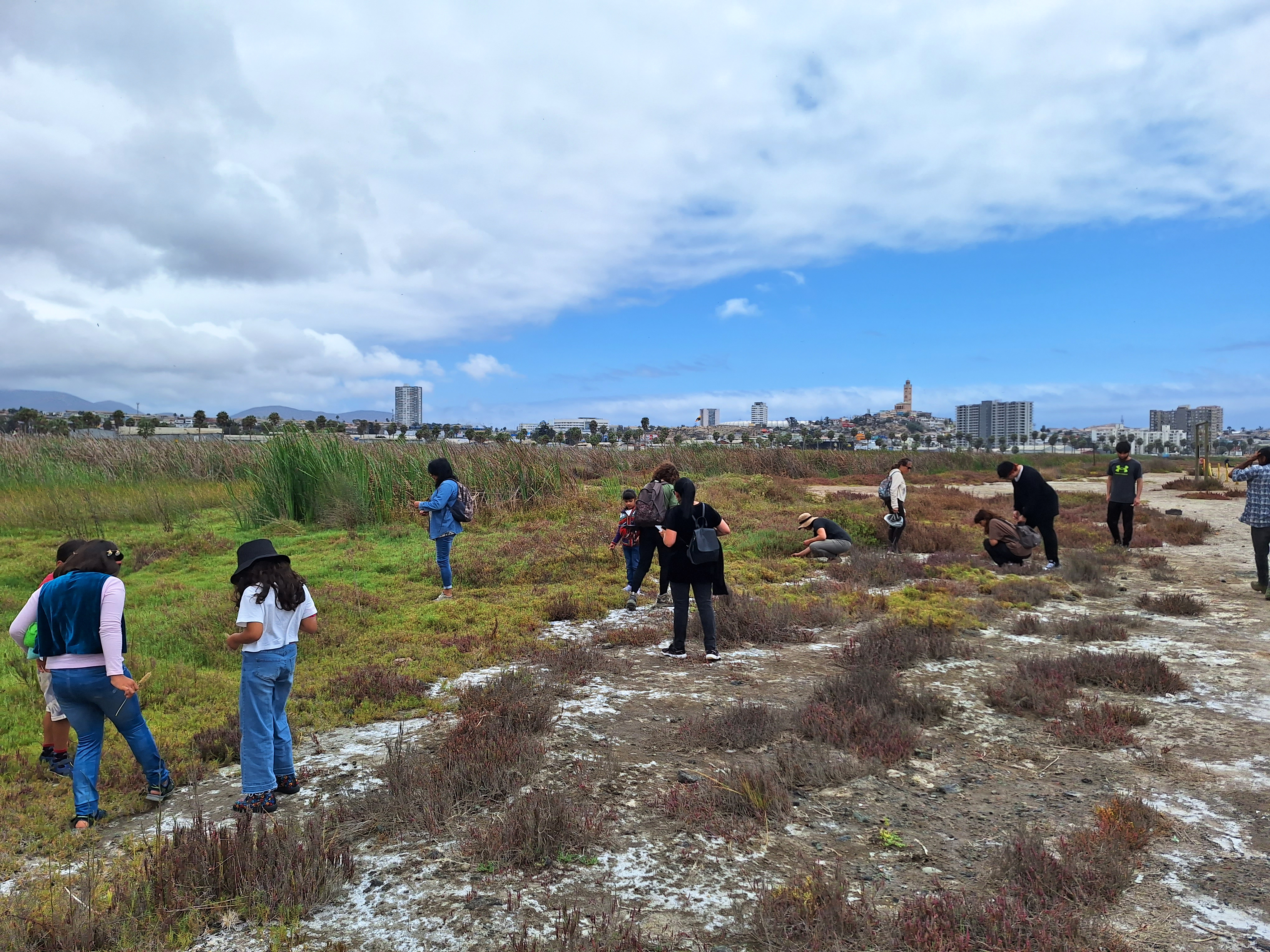 LABORATORIO CREATIVO DE PROCESOS FOTOGRÁFICOS SUSTENTABLES