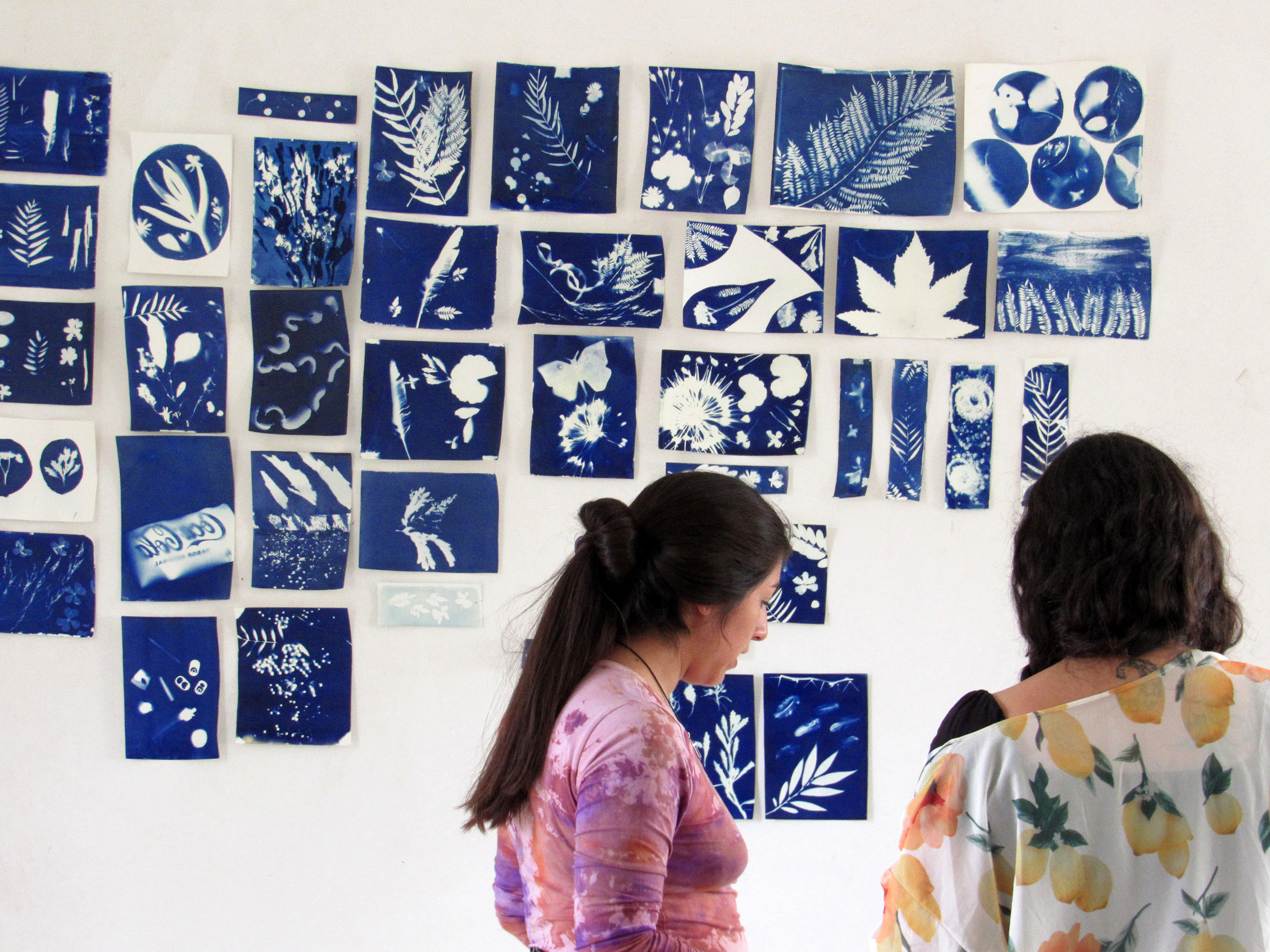 Taller de cianotipia Elementa con participantes creando imágenes botánicas mediante impresión solar y procesos fotográficos artesanales.